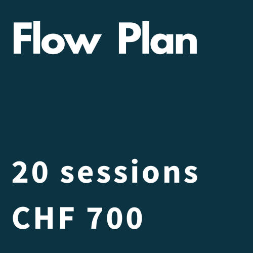 Flow plan Flow plan